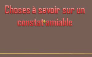 amiable_1