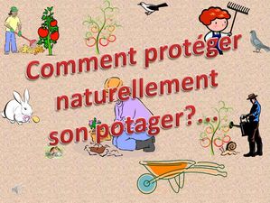 comment_proteger_naturellement_son_potager