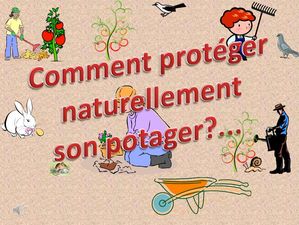 comment_proteger_naturellement_son_potager