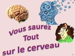 le_cerveau_gilles