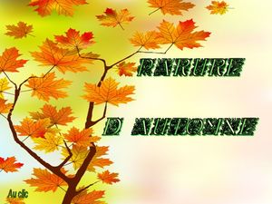 parure_d_automne_dede_51