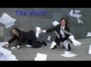 the_wind