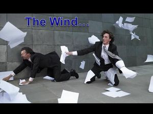 the_wind
