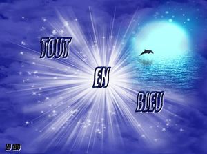 tout_en_bleu_dede_51