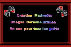 un_sac__pour_tous_les_gouts_marinette