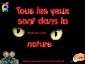 tous_les_yeux_sont_dans_la_nature_chantha