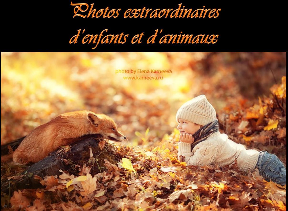 photos_extraordinaires_d_enfants_et_d_animaux_pancho