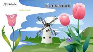 keukenhof_hollande_mimi_40