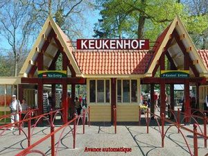 keukenhof_papiniel