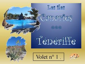 teneriffe_ile_des_canaries_p_sangarde