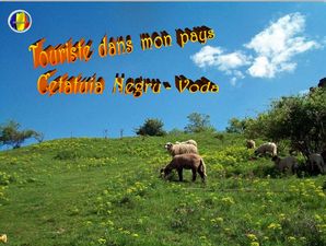 touriste_dans_mon_pays_cetatuia_negru_voda_stellinna