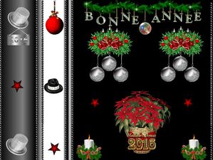 bonne_annee_2016_fabie_12_2015