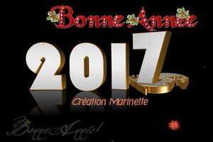 bonne_annee_2017_marinette