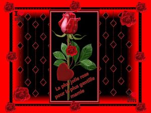 bonne_fete_des_mamies_fabie_03_2015_fabie
