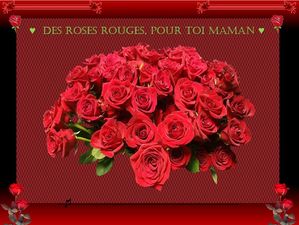 des_roses_rouges_pour_toi_maman_fabie_05_17