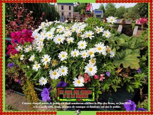 fete_des_fleurs_13_de_la_gacilly_06_2016