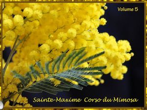 fete_du_mimosa_5_by_alainchant_93