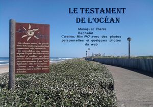 le_testament_de_l_ocean_mimi_40