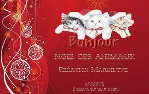 noel_des_animaux_marinette