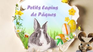 petits_lapins_de_paques_mimi_40