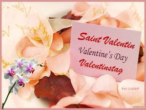 saint_valentin_2016_dede_francis