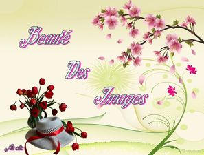 beaute_des_images_dede_51