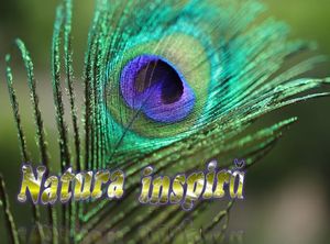 natura_inspira