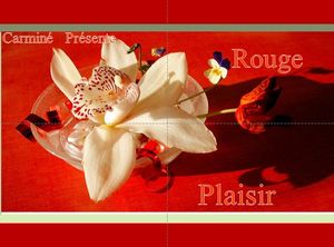 rouge_plaisir