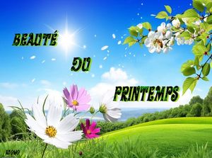 beaute_du_printemps_dede_51