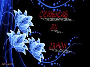 cerisiers_au_japon_dede_51