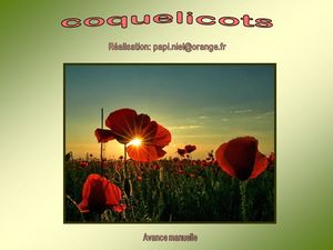 coquelicots_papiniel