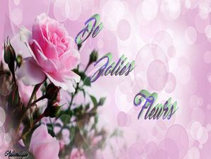 de_jolies_fleurs_dede_51