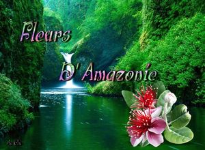 fleurs_d_amazonie_dede_51