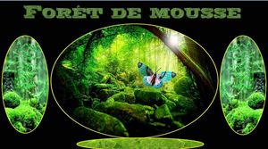 foret_de_mousse_maumau