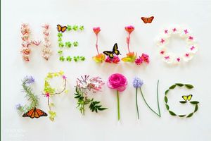 hello_spring_mimi_40