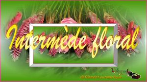 intermede_floral_dede_francis