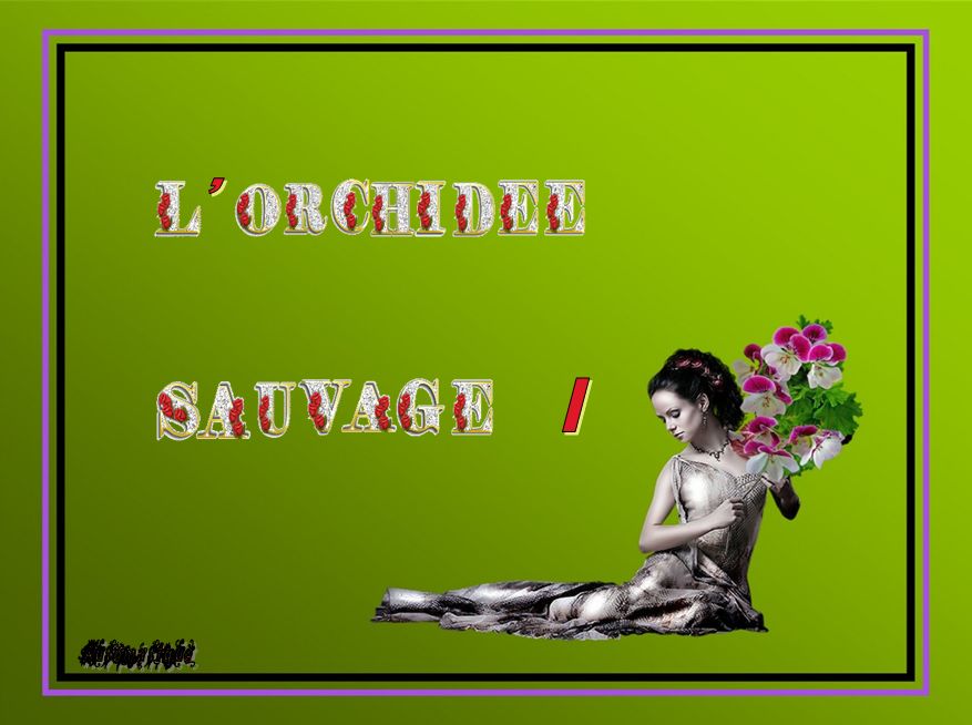 l_orchidee__sauvage_i_dede_51