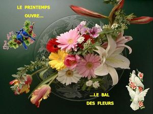 le_bal_du_printemps_jack_32