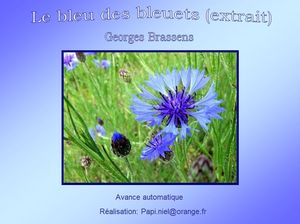le_bleu_des_bleuets_papiniel