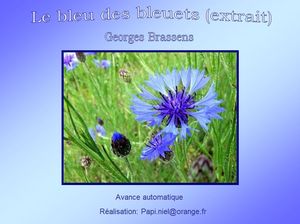 le_bleu_des_bleuets_papiniel