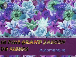 le_plus_grand_jardin_de_fleurs_chantha