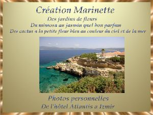 les_fleurs_du_bord_de_mer_marinette