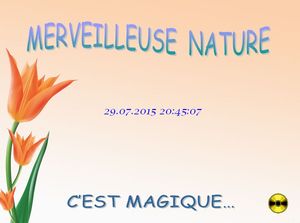 merveilleuse_nature_chantha