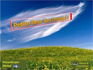 petite_fleur_des_champs_3_michel