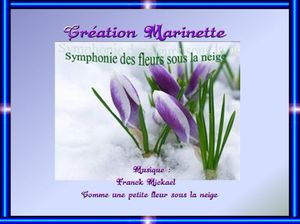 petites_fleurs_sous_la_neige_marinette