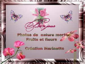 photos_de_fruits__fleurs_marinette