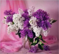 printemps_couleur_lilas