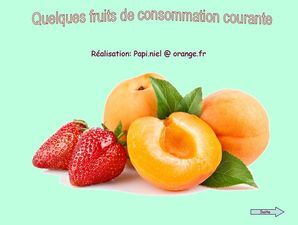 quelques_fruits_communs_2_papiniel