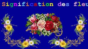 signification_des_fleurs_maumau