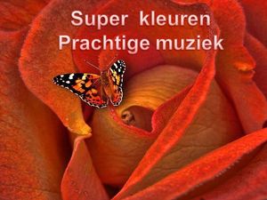 superbes_couleurs_belle_musique